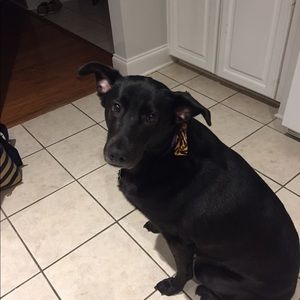 Meet your Posher, Catherine